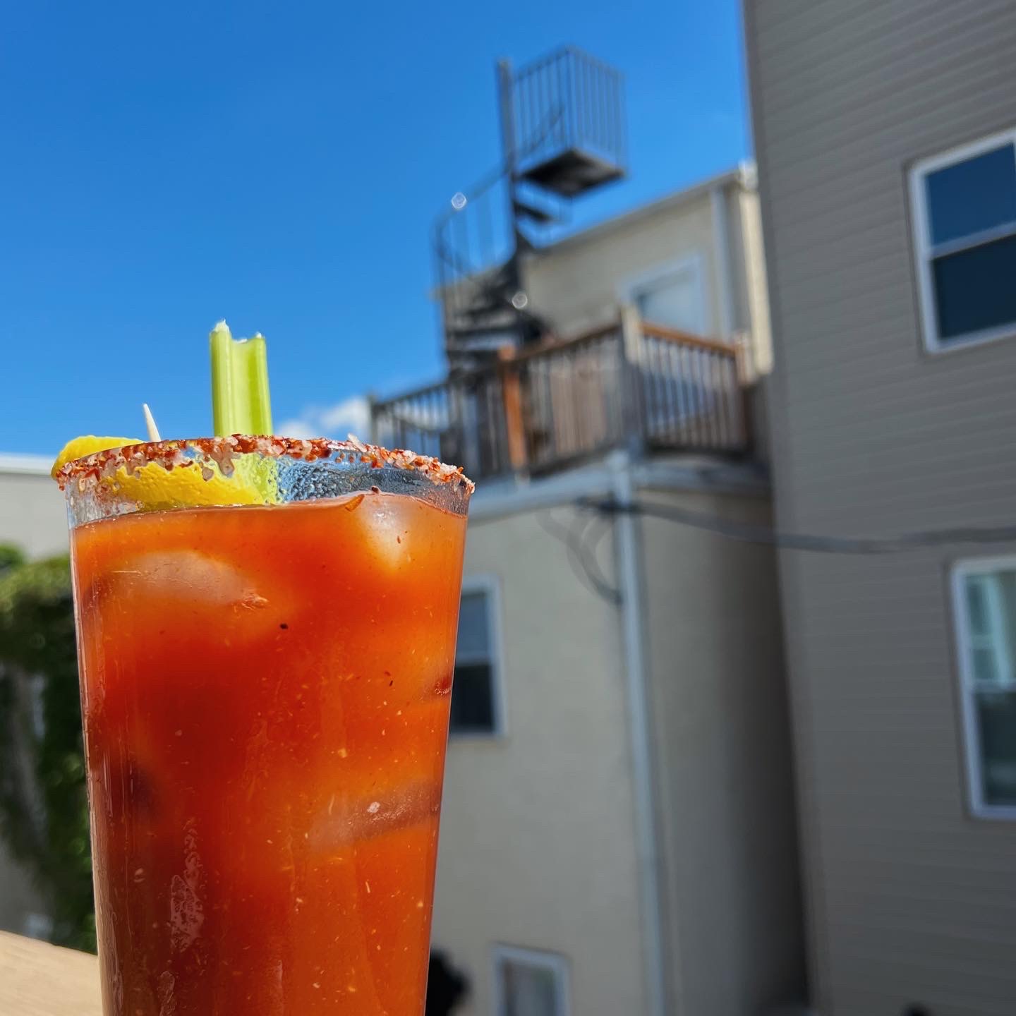 cocktail recipe: bloody maria/mary (tequila/vodka)